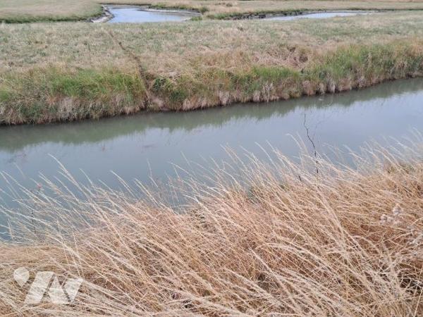 Maison à vendre Bouin