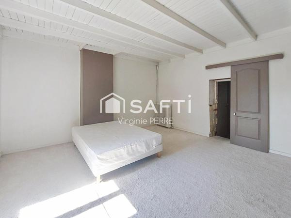 PROPRIETE DE CARACTERE MAISON + 2 APPARTEMENTS - 412m2 - ARVERT (17530)