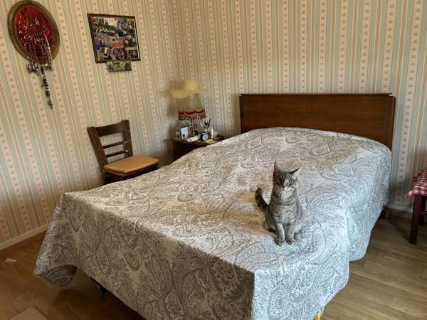 Vente Maison100 m² - 6 Pièces - DREVANT (18200)