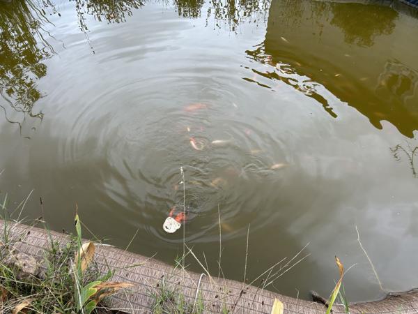 Vente Maison100 m² - 6 Pièces - DREVANT (18200)