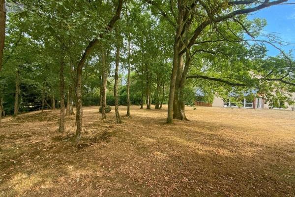 Maison à vendre à Les Garennes sur Loire dans le Maine-et-Loire (49610), ref : 49012-1999