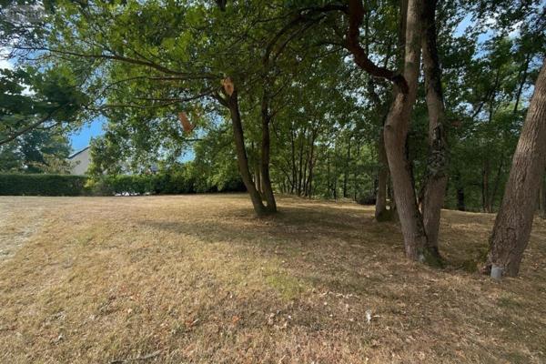 Maison à vendre à Les Garennes sur Loire dans le Maine-et-Loire (49610), ref : 49012-1999