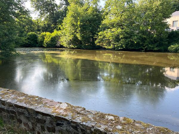 Appartement 3 pièces avec terrasse,  
Orvault 44700