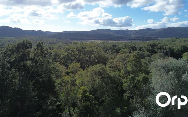 Maison à vendre    8 pièces • 239 m2 Sotta