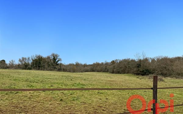 Maison à vendre    7 pièces • 186,50 m2 Dun-sur-Auron