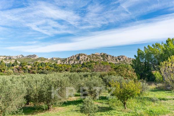 ALPILLES- DOMAINE D' EXCEPTION - MONUMENT REMARQUABLE DU 17 ème - 1400 M2- 7 HECTARES -