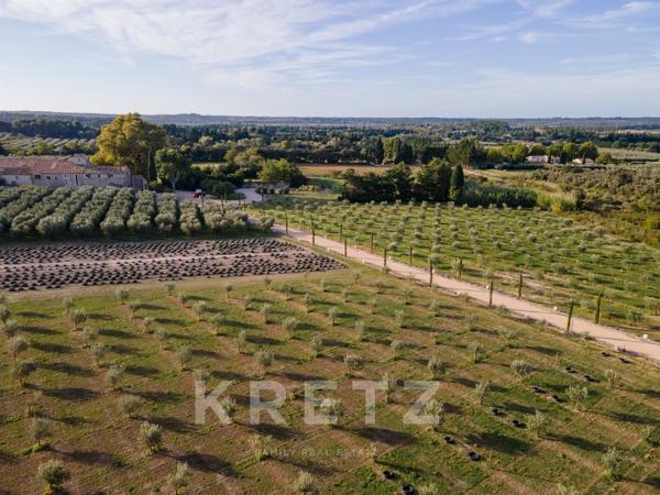 ALPILLES- DOMAINE D' EXCEPTION - MONUMENT REMARQUABLE DU 17 ème - 1400 M2- 7 HECTARES -