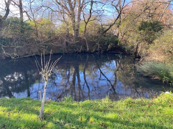 Propriete à vendre 7 pièces SOREZE (81)