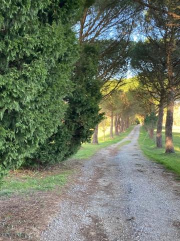 Propriete à vendre 7 pièces SOREZE (81)