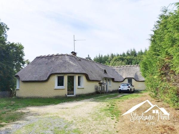 Maison de plain-pied 127 m² – 3 chambres + bureau – Terrain 9 066 m²