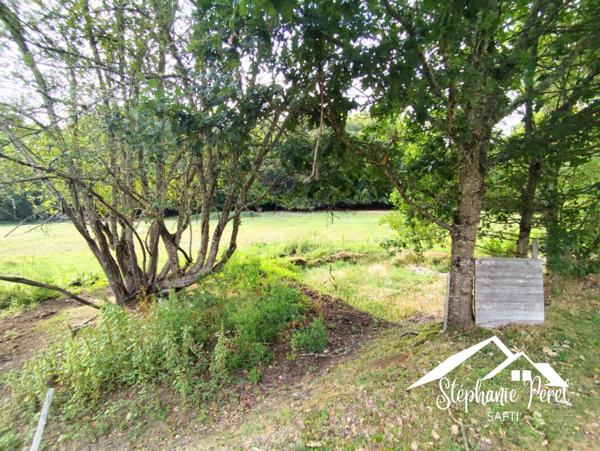 Maison de plain-pied 127 m² – 3 chambres + bureau – Terrain 9 066 m²