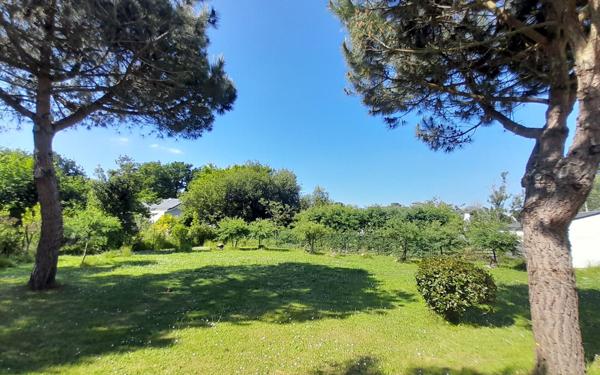 Terrain à vendre    Mesquer