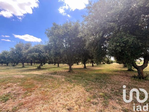 Maison à vendre 7 pièces 320 m² Noyant-de-Touraine