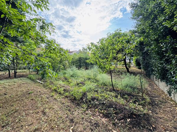 Niort - Av de la Rochelle