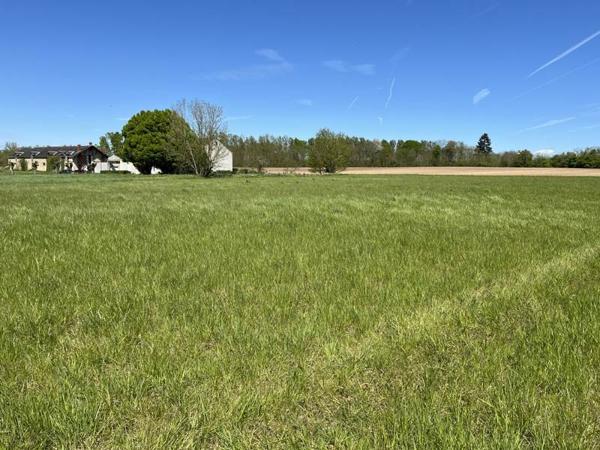 Terrain à vendre |  Moulins-sur-Céphons |  6111 m²