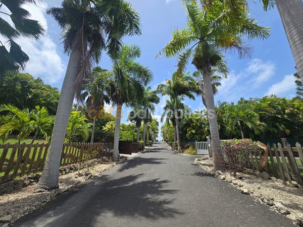 Vente
                Maison120 m² - 4 Pièces -
                    SAINT FRANCOIS (97118)