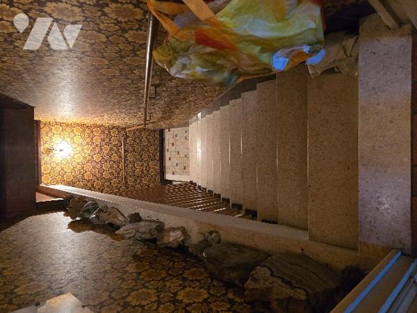 CUSSET - Centre ville. 
 BELLE VILLA  de 222 m²   dans jardin clos et arboré de 1.720 m²