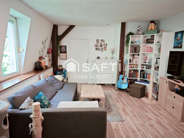 Appartement 2 pièces au cœur de Sarrebourg