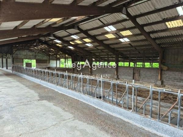 Local Commercial à PLOUMILLIAU, 22300 - 1 pièce 1384m²