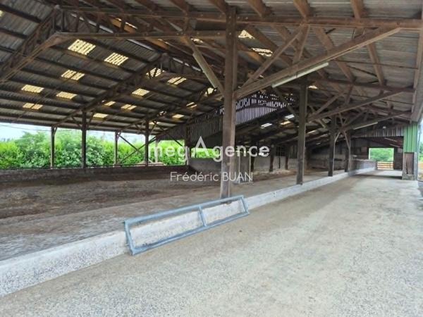 Local Commercial à PLOUMILLIAU, 22300 - 1 pièce 1384m²