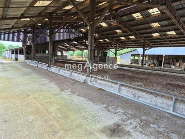 Local Commercial à PLOUMILLIAU, 22300 - 1 pièce 1384m²