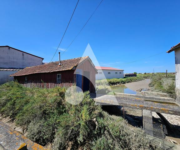 Propriété d'agrément 1 pièce 25.5 m2