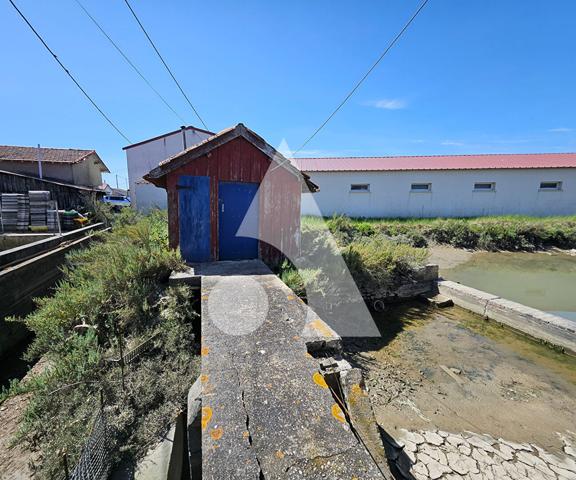 Propriété d'agrément 1 pièce 25.5 m2