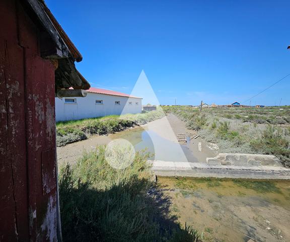 Propriété d'agrément 1 pièce 25.5 m2