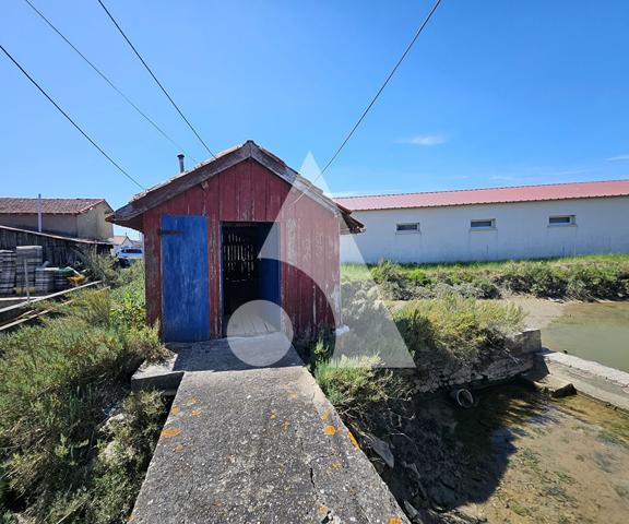 Propriété d'agrément 1 pièce 25.5 m2