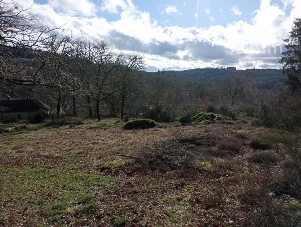 A 5mm du lac de Vassivière, Terrain constructible de 5000 m² avec vue imprenable, avec sapinière et arbres feuillus.