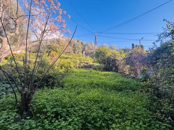 Vente Appartement 3 pièces 66 m2 à Cargèse