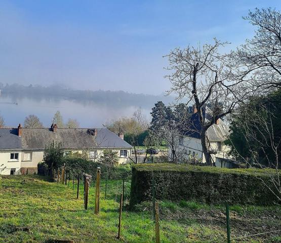 Maison en bord de Loire et proche centre ville - Saumur (49400)