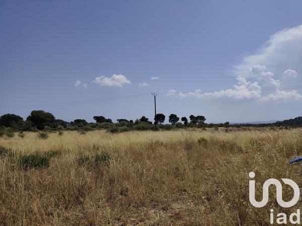 Terrain à vendre 829 m² Roubia