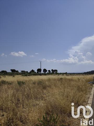 Terrain à vendre 829 m² Roubia