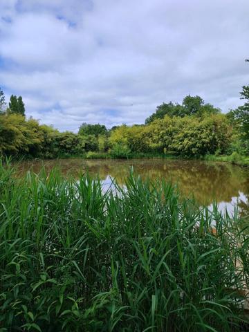 Maison 4400m2 dépendance, étang