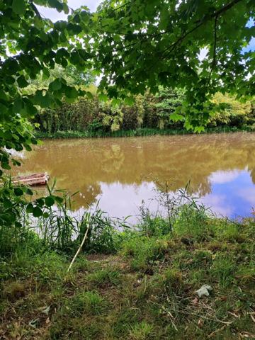 Maison 4400m2 dépendance, étang