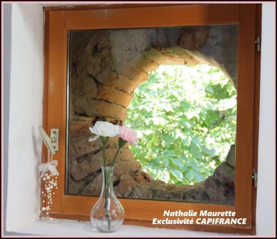 Salvagnac 81, magnifique propriété T9-T10 450 m² (dont 3 Gîtes loués), terrain de 1.6 hectares