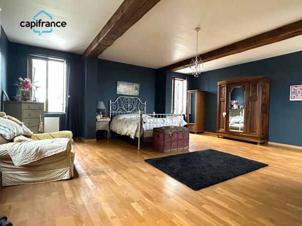 Salvagnac 81, magnifique propriété T9-T10 450 m² (dont 3 Gîtes loués), terrain de 1.6 hectares