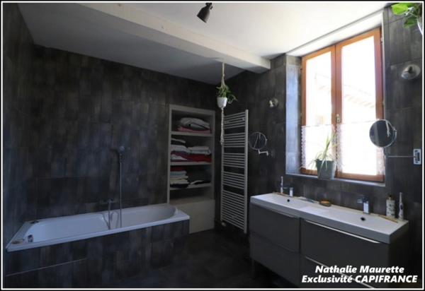 Salvagnac 81, magnifique propriété T9-T10 450 m² (dont 3 Gîtes loués), terrain de 1.6 hectares