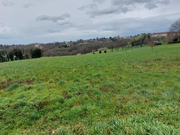 ENSEMBLE IMMOBILIER DE 2 MAISONS EN PIERRE  A RENOVER  PLUS UNE GRANGE FERMEE AVEC TOITURE NEUVE SUR PARCELLE AGRICOLE DE 8087M² CARMAUX (81)