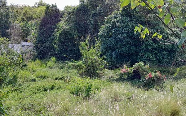 Terrain à vendre    Deshaies