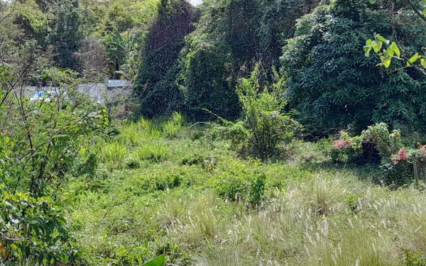 Terrain à vendre    Deshaies