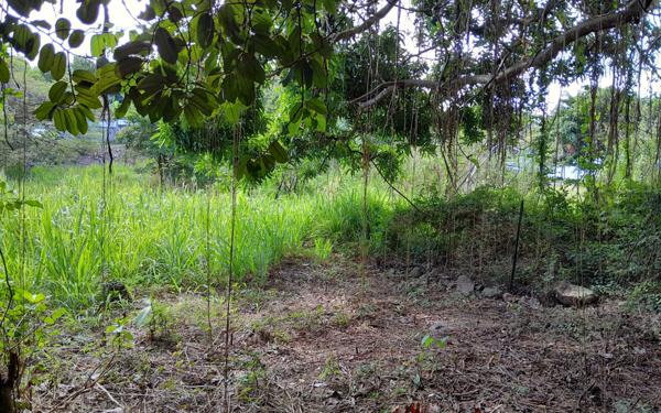 Terrain à vendre    Deshaies