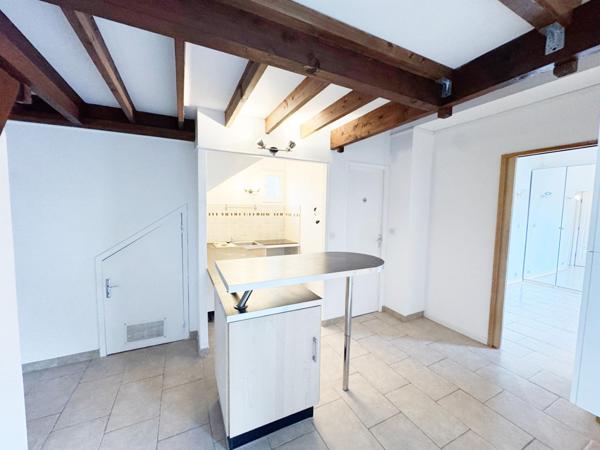 Grande terrasse et jardin