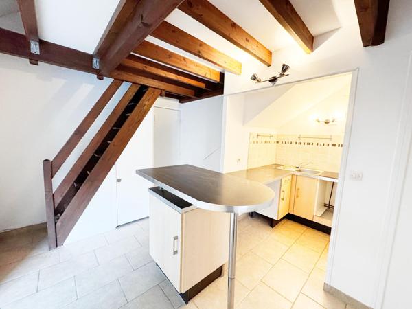 Grande terrasse et jardin