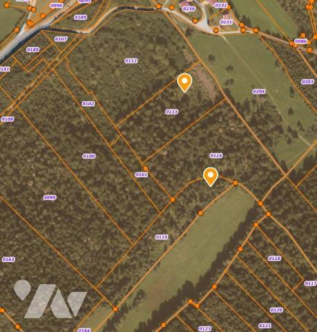 Parcelles boisées sur la commune Lac-des-Rouges-Truites