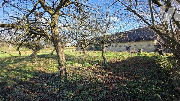 Maison ancienne à restaurer