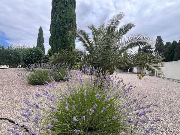 VIVRE L'EXCEPTION AU QUOTIDIEN : SUPERBE VILLA DE PRESTIGE