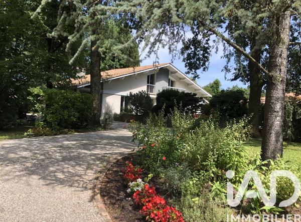 Maison à vendre 7 pièces 184 m² Cestas