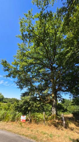 TERRAIN 8875M² - ENVIRONNEMENT CAMPAGNE